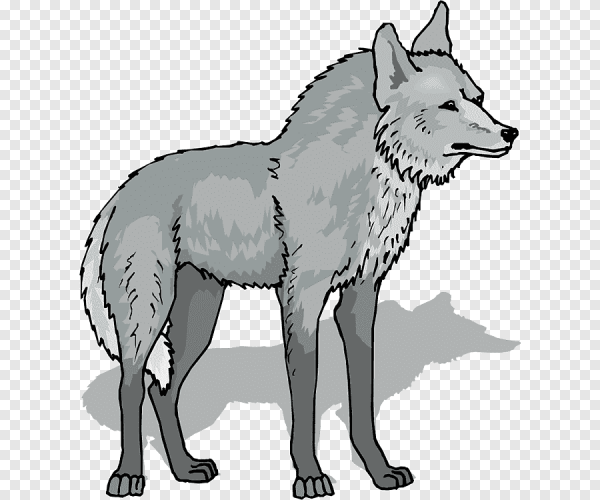 Волк для детей