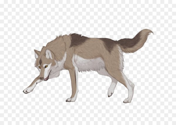 Мультяшный волк на прозрачном фоне