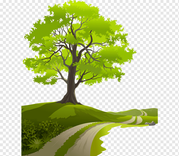 Дерево зеленое