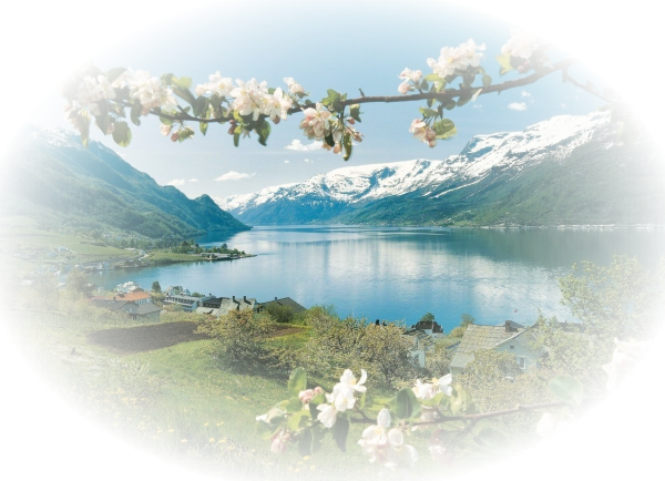 Природа клипарт