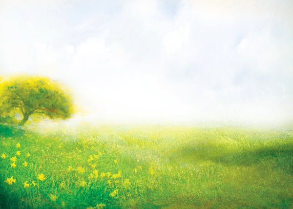 Фон для презентации лето