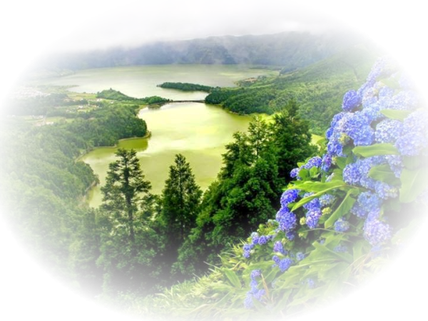 Летние пейзажи на прозрачном фоне