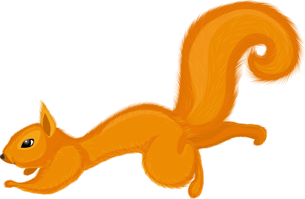 Белочка на прозрачном фоне