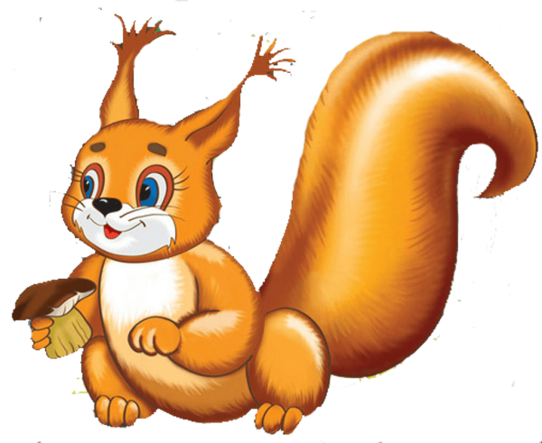 Белка для детского сада