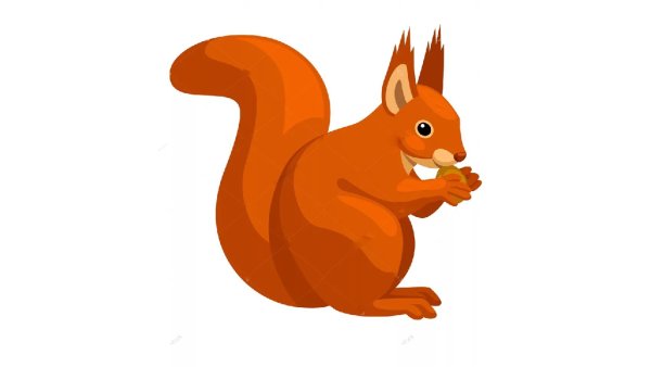Белочка на прозрачном фоне