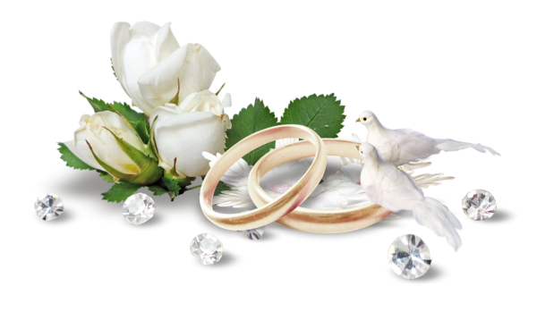 Свадебные голуби с кольцами