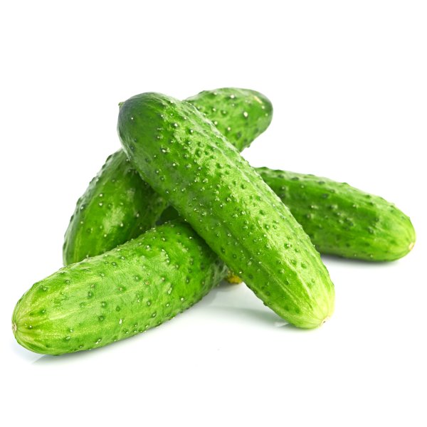 Огурец Трилоджи f1