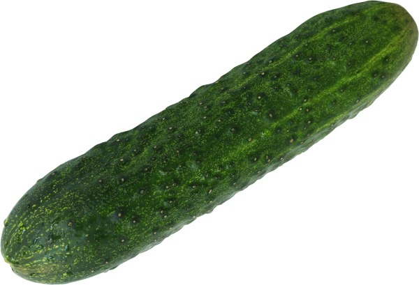 Огурец на прозрачном фоне