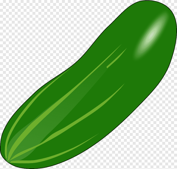 Огурец вектор