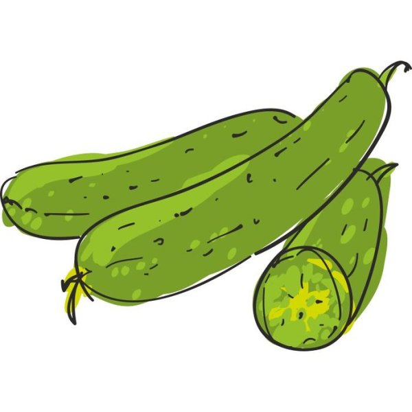Огурец вектор