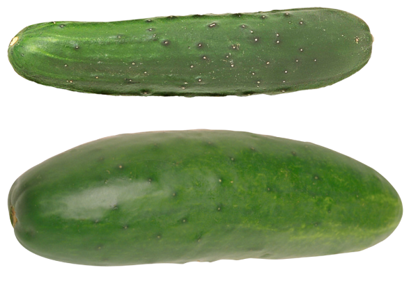 Картина огурец