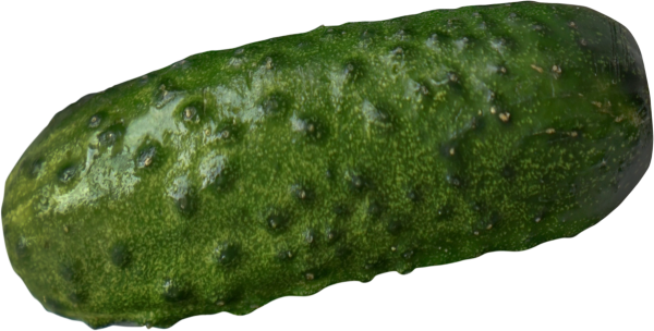 Огурец для фотошопа
