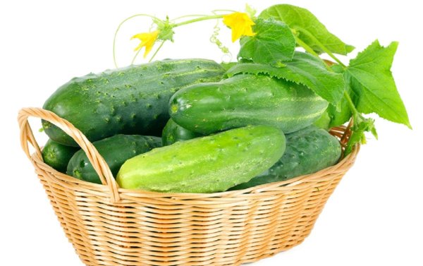 Огурцы в корзинке