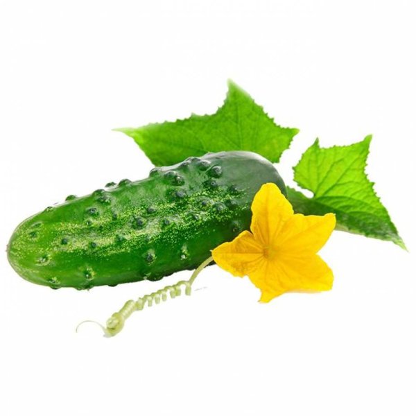 Огурец маска для детей