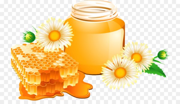 Мед иллюстрация