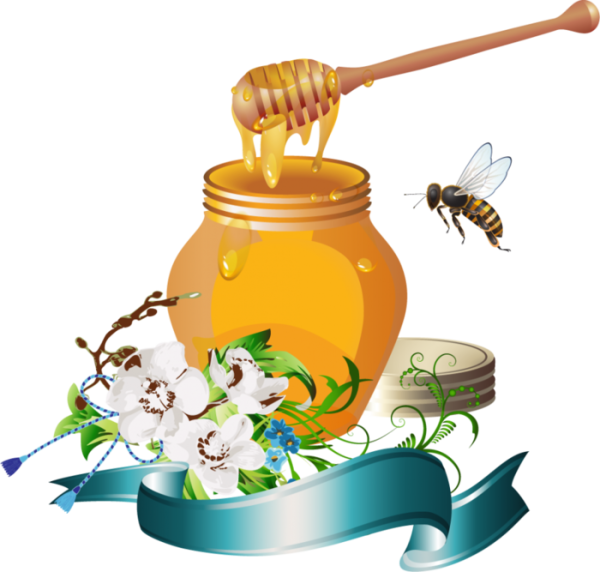 Мед иллюстрация