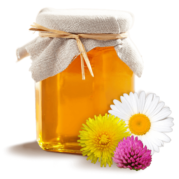 Мед без фона для детей