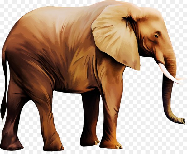 Слоны мультяшные