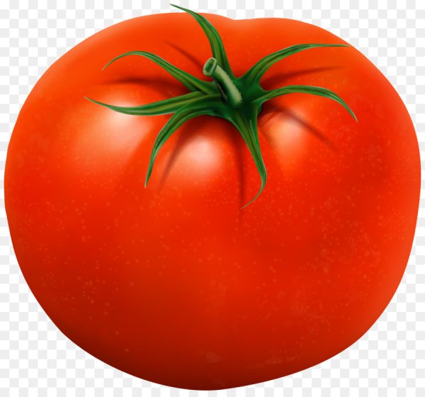 Помидор на белом фоне