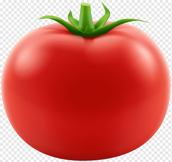 Помидор на белом фоне