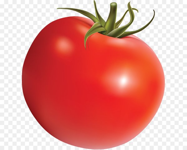 Помидор PNG
