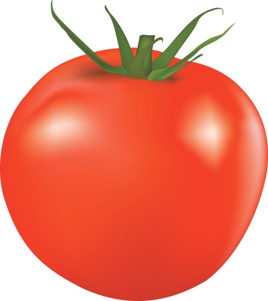 Овощи помидор