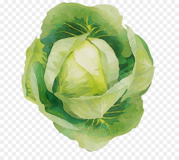 Капуста ФОРТНАЙТ капуста