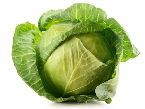 Капуста на белом фоне