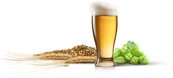 Хмель и солод пиво