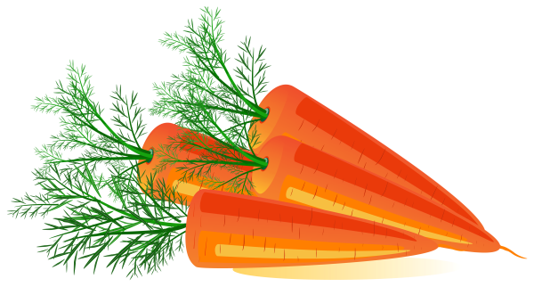 Картинки морковки для детей цветные