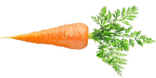 Морковь 1 шт