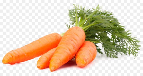 Морковка картинка