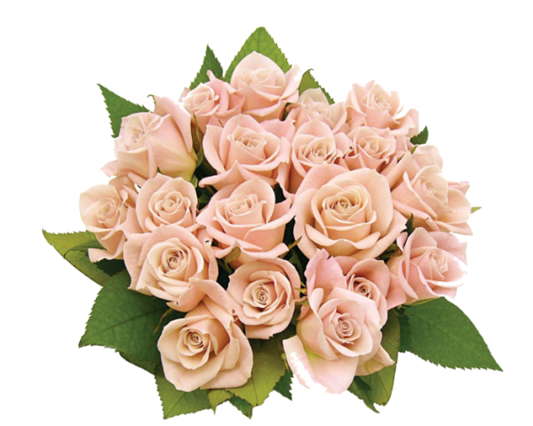 Розовый букет на прозрачном фоне