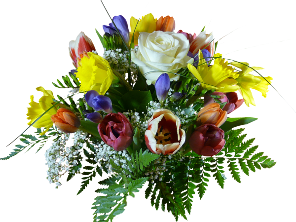 Цветы букет