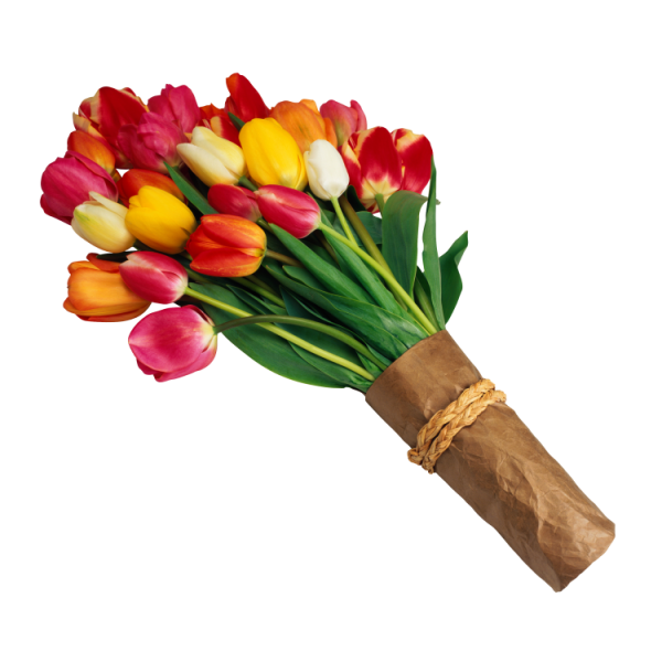 Цветы тюльпаны букет