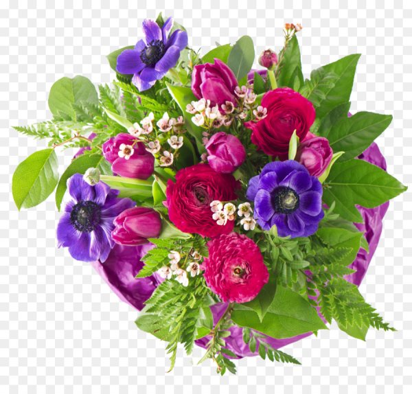 Красивые цветы