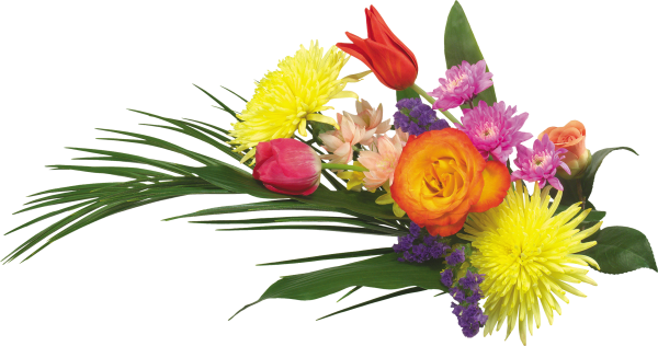 Цветы на прозрачном фоне