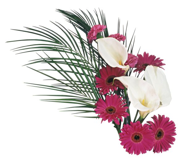 Букет на прозрачном фоне