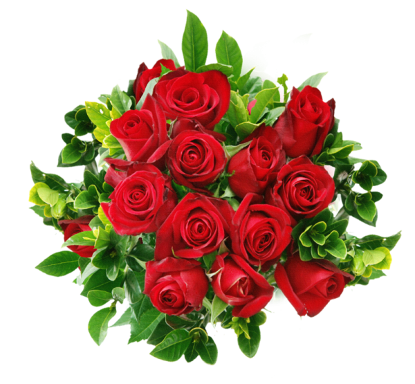 Розы на прозрачном фоне