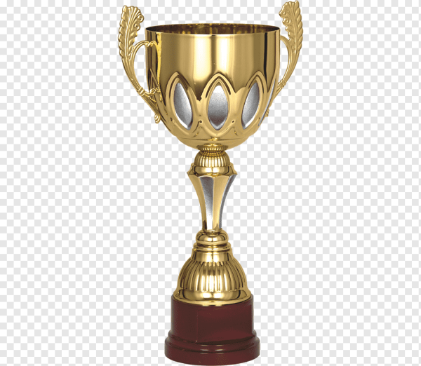 Кубок «золотой Фотон».