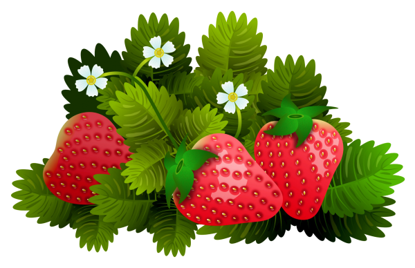 Земляника без фона