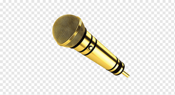 Золотой микрофон