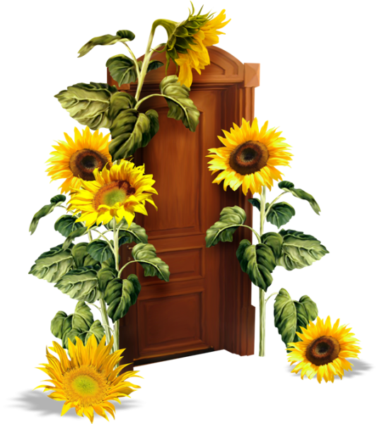 Листья подсолнуха вектор