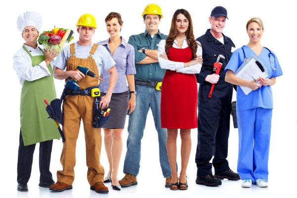 Многообразие профессий