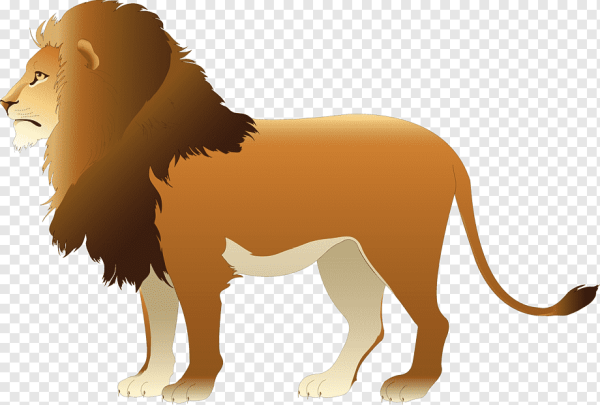 Картинка Льва для детей на белом фоне
