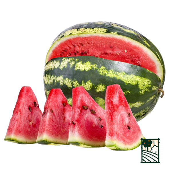 Арбуз это овощ