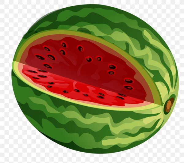 Арбуз вектор