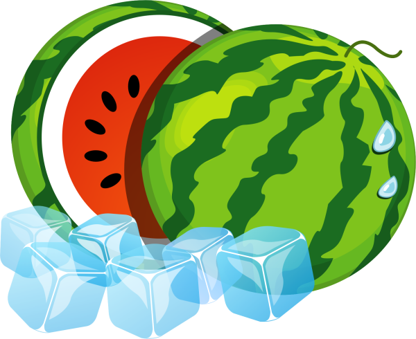 Арбуз вектор на прозрачном фоне