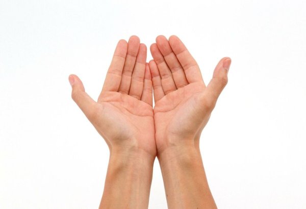 Ладонь вверх