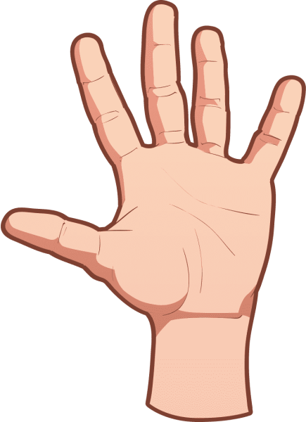 Рука ладошка